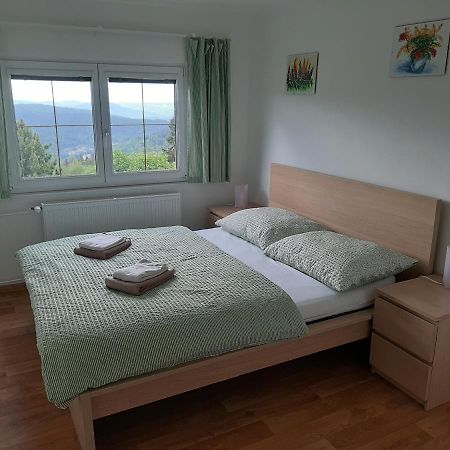 Naproti Klinovci Villa Jachymov Luaran gambar